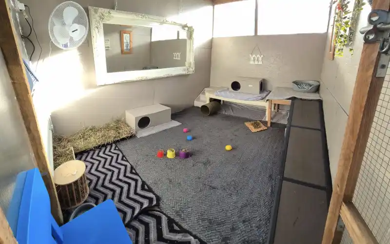 Thewarrenyork poppy penthouse