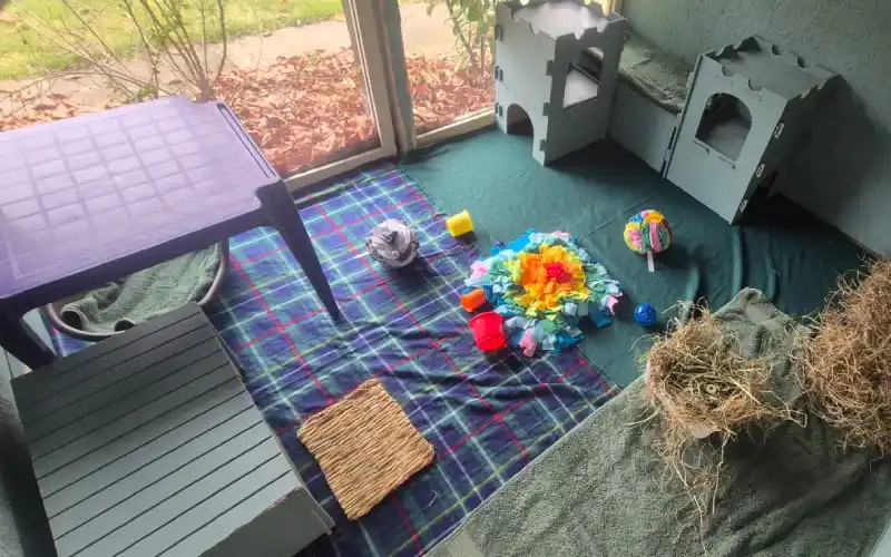 Thewarrenyorl thegreenone