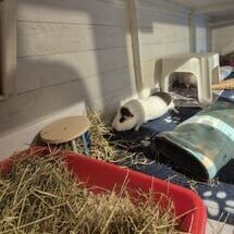 Whatsapp image 2024 12 02 at 23.28.00 b0c0601a d95kj88vxvsz0lo0