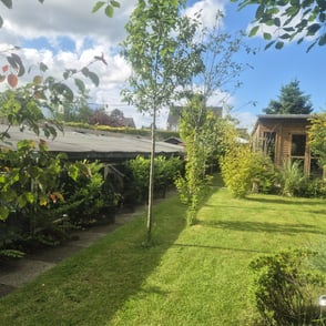 Whatsapp image 2024 12 02 at 23.28.00 bde4392a yanyxppdkjtqx8k0