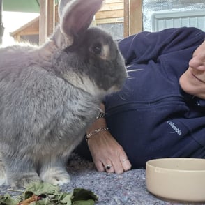 Whatsapp image 2024 12 02 at 23.28.01 75627b36 mk3zpaww4lsz3ovv